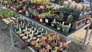 Best California Nurseries   Glendora Gardens   4K