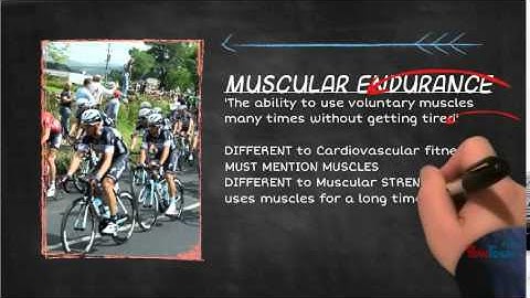 HRF Components for Edexcel GCSE PE