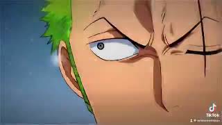 One Piece Zoro Sad