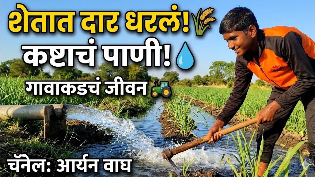 🌾 आज शेतात दार धरलं! | कष्टाचं पाणी 💧 | Village Vlog Marathi | Suvarna Wagh 