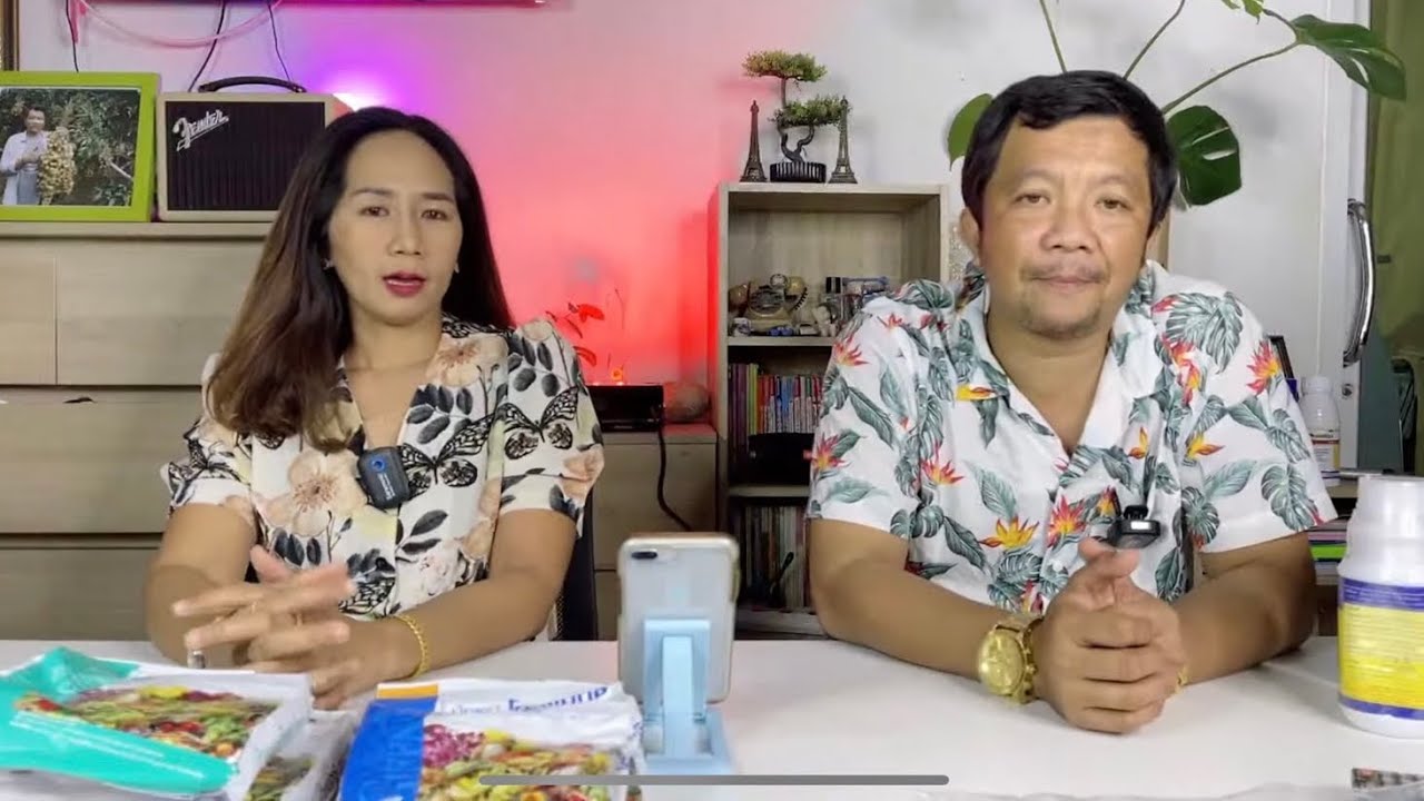 ไลฟ์สด การทำสารลำไย  ไล่ใบ สะสม เปิดตาดอก และถาม-ตอบข้อข้องใจ