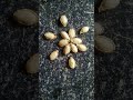 Seeds stop motion shorts shortsonshorts youtubeshorts