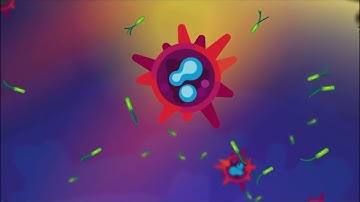 exploding neutrophil kurzgesagt meme