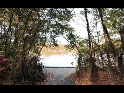 VLOG - გასეირნება Prospect პარკში