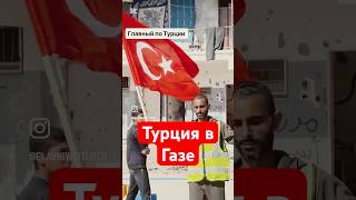 Турция торгует с израиль? #новости #рек #турция #газа #палестина