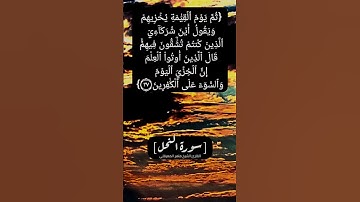 سورة النحل الآية ٢٦ و ٢٧ بصوت الشيخ ماهر المعيقلي