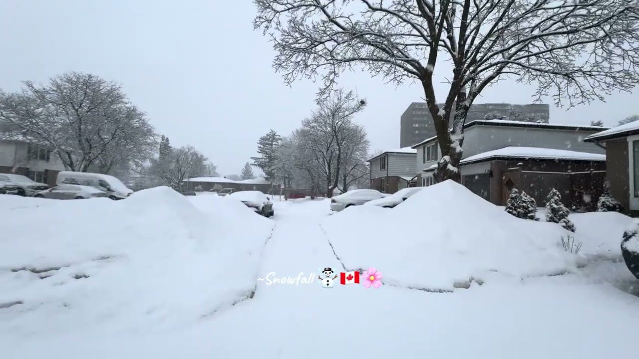 Blue mountain snowfall ☃️🎄  Blue mountain chrismas 🎄