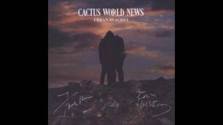 Watch Cactus World News Jigsaw Street video