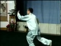 ４２式太極拳（高佳敏、陳思担、 峰。。。）