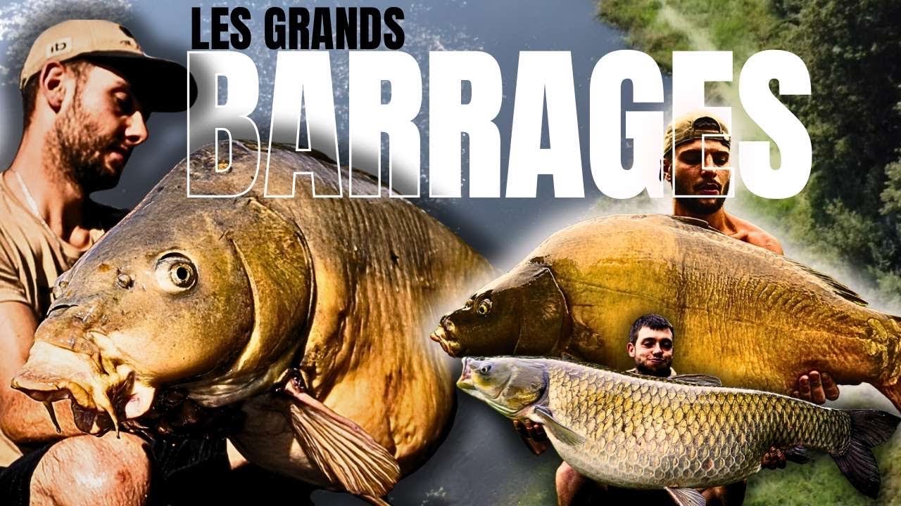 LA SESSIONS DE NOTRE VIE , Grosse carpes et amour blanc RECORD !!