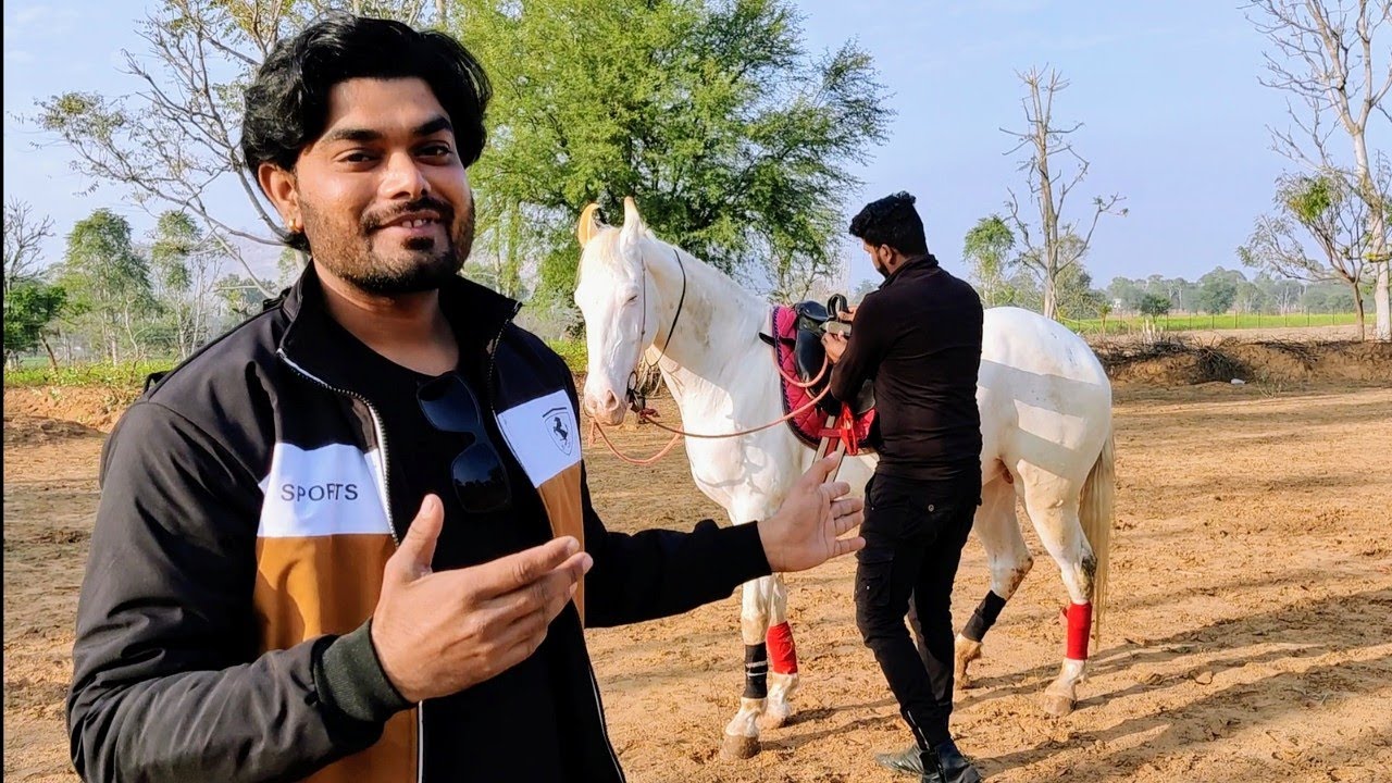 बहुत कम पैसों में सीखिए घुड़सवारी | How to ride horse for a beginners | Make career in horse riding