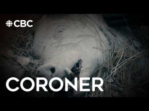 Coroner, Season 3 Episode 10, "Christmas Day" | Full Episode