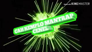 Cara Buat Tampilan Bulatan Di Kursor Hp Udroid Kalian