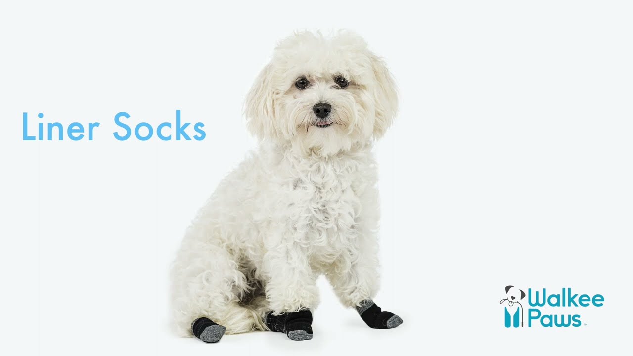 Walkee Paws Liner Socks | Non slip dog socks | Dog indoor Socks | Dog Socks | Dog Socks For Home