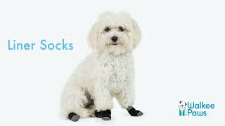 Walkee Paws Liner Socks | Non slip dog socks | Dog indoor Socks | Dog Socks | Dog Socks For Home Details