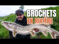 Pêche Du Brochet Les Gros Au Swimbait Sur Le Doubs mp3