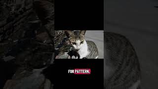 Famous Descriptive Text Video Assignment - Putri Aulia - Information Systems 2C Wealth