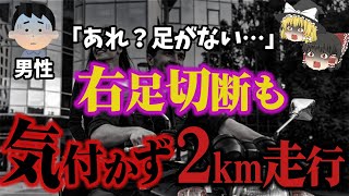 [Yukkuri Commentary] Hit the Median While Touring!? Rode for 2km Without Realizing Their Right Le... screenshot 1