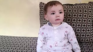 خواندن لکسوس عربی