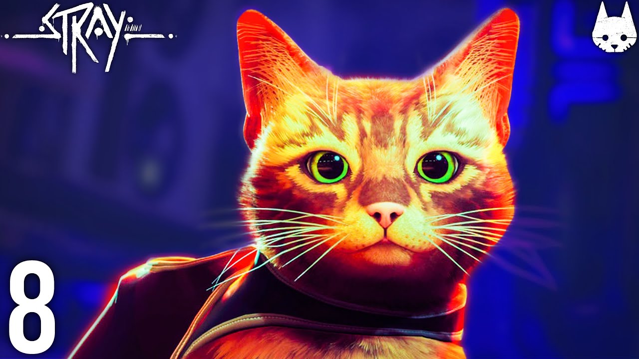 Unikam policji jak Hajto konsekwencji | Stray PL 4K [#8]