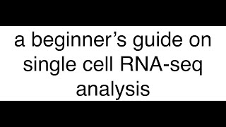 A beginner's bioinformatics guide for single-cell RNAseq data analysis