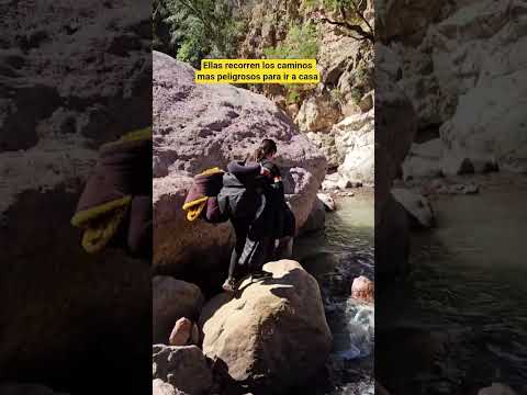 Camino peligroso a casa