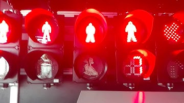 200mm pedestrian traffic light