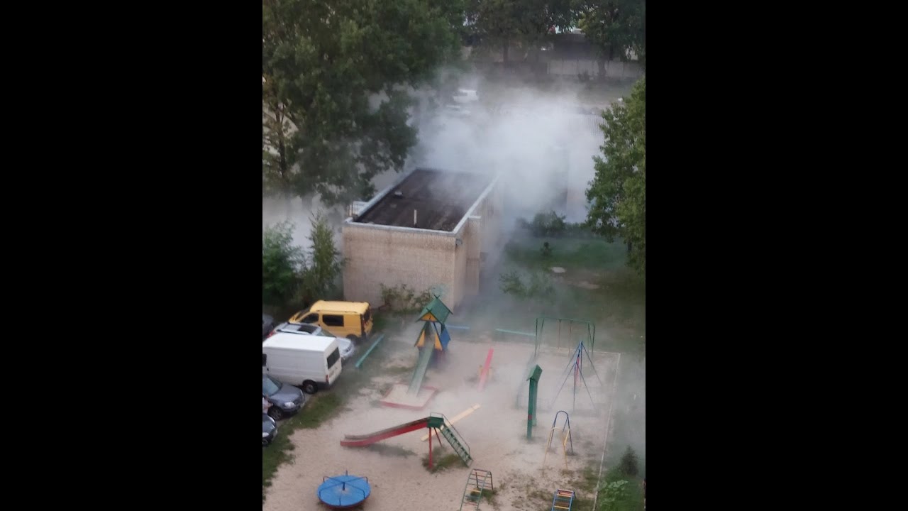 Газель во дворе