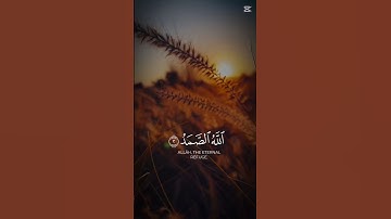 سورة الإخلاص -صوت يريح القلب ماشاءالله #القرآن_الكريم #المصحف #اكسبلور