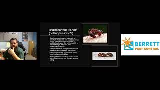 Office Staff Ant Training