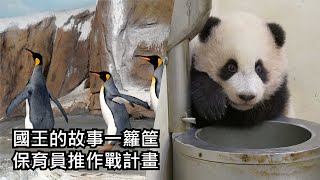 國王的故事一籮筐-保育員推作戰計畫