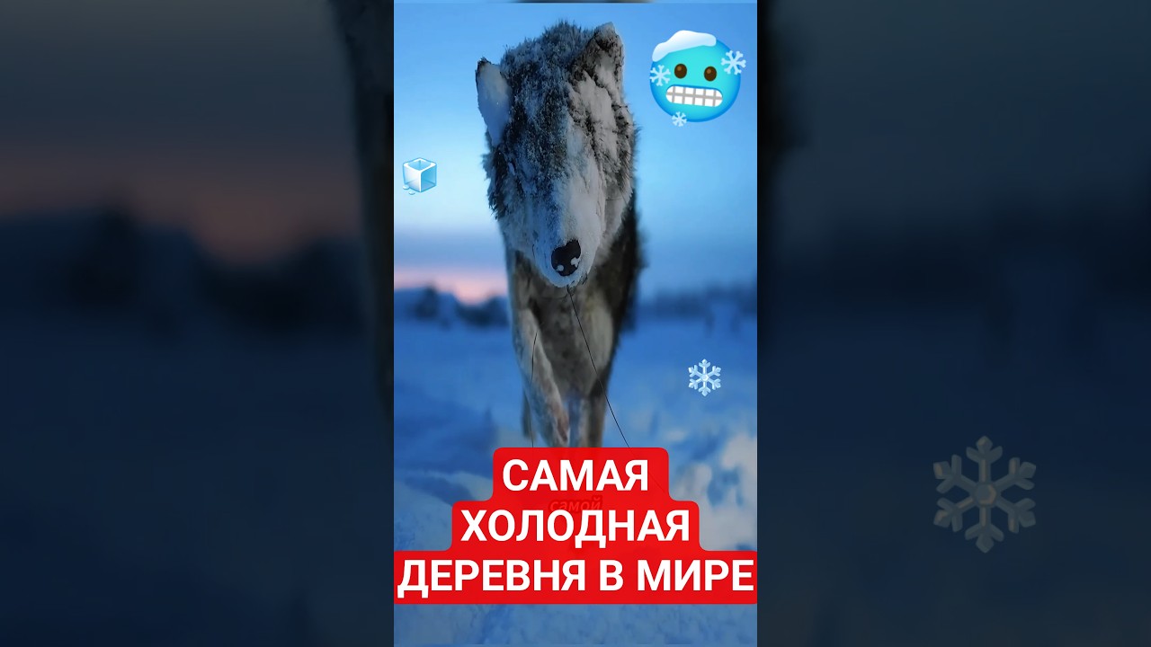 САМАЯ ХОЛОДНАЯ ДЕРЕВНЯ В МИРЕ🥶⁉️ 