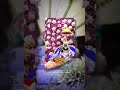 #jaishreeram #vrindavan #mahadev #anjanimatamandirlivedarshansalasar #radhakrishna #love #mahadev