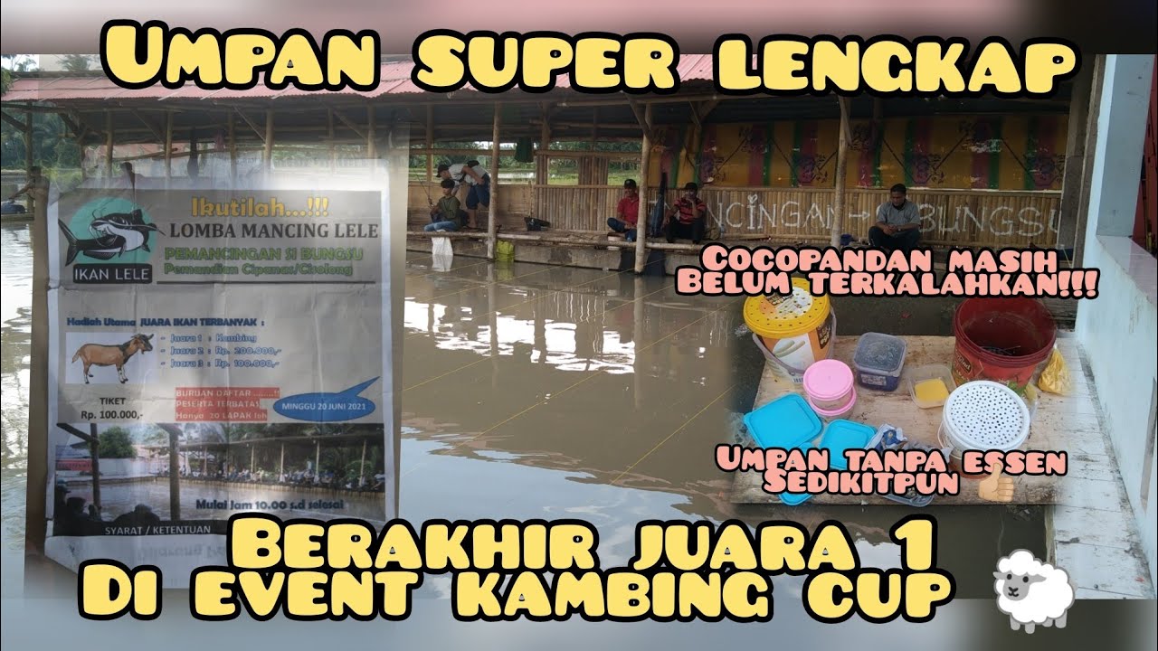 RACIKAN COCOPANDAN BERHASIL BAWA PULANG KAMBING PAK mantul abiss!!!!