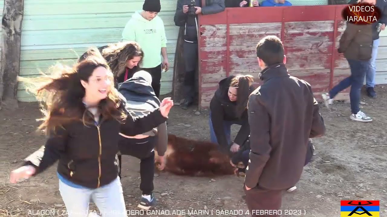 2ª PARTE MOMENTOS TAURINOS 2023