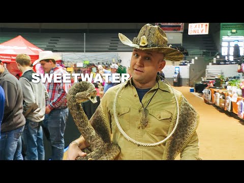 Day Trip to Sweetwater 🐍 (FULL EPISODE) S9 E6