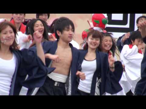総踊り・よっちょれ（Ⅱ）＠2013　YOSAKOIかぬまフェスティバル