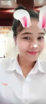 #Rabbit #bigolivevideo