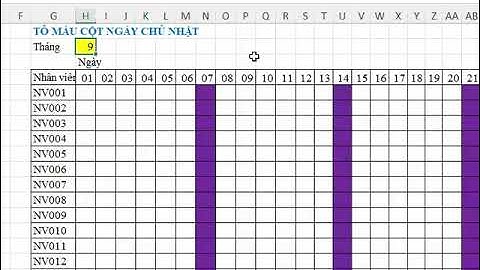 Format tô màu tự động cho cột ngày chủ nhật trong bảng chấm công #shorts