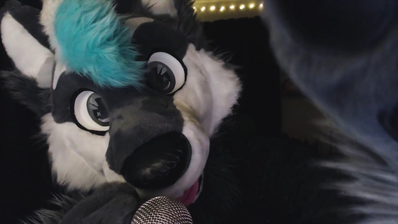 Petting You To Sleep [FURRY ASMR]