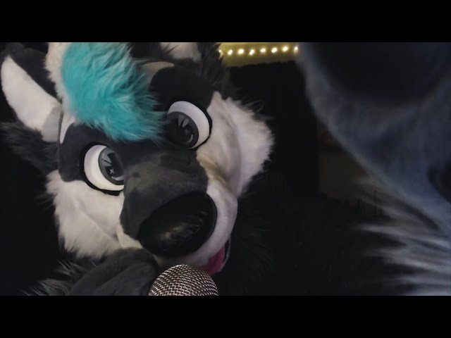 Petting You To Sleep [FURRY ASMR]
