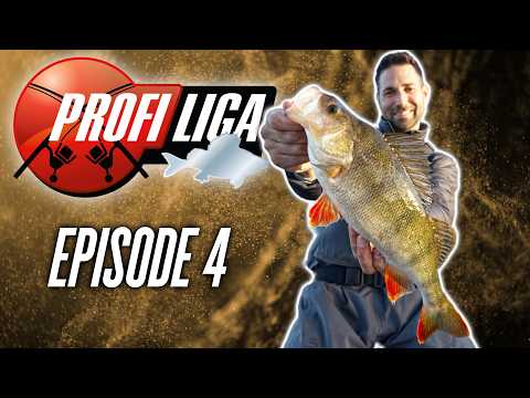 Der Favorit schwächelt! 🔴 Profi Liga Barsch, Staffel 2 Folge 4