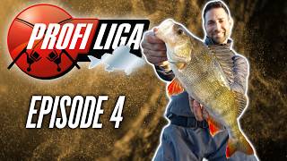 Der Favorit schwächelt! 🔴 Profi Liga Barsch, Staffel 2 Folge 4