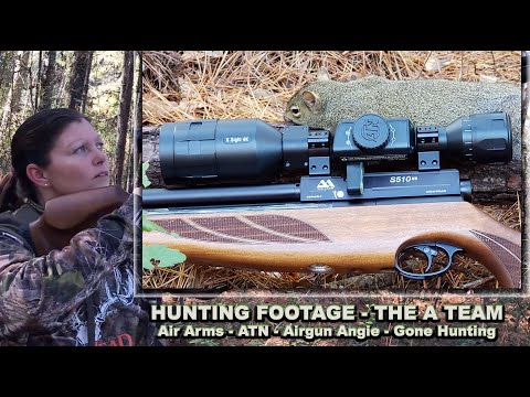 HUNTING FOOTAGE – THE A TEAM - AIR ARMS S510 XS – ATN X-Sight 4K Pro – Airgun Angie