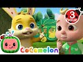 Don&#39;t Miss The School Bus Song- Wheels Go Round | Cocomelon - Nursery Rhymes | Fun Cartoons For Kids