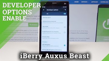 Developer Options in iBerry Auxus Beast - OEM Unlock & USB Debugging