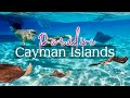 Cayman islands best places to visit and top things to do in grand cayman