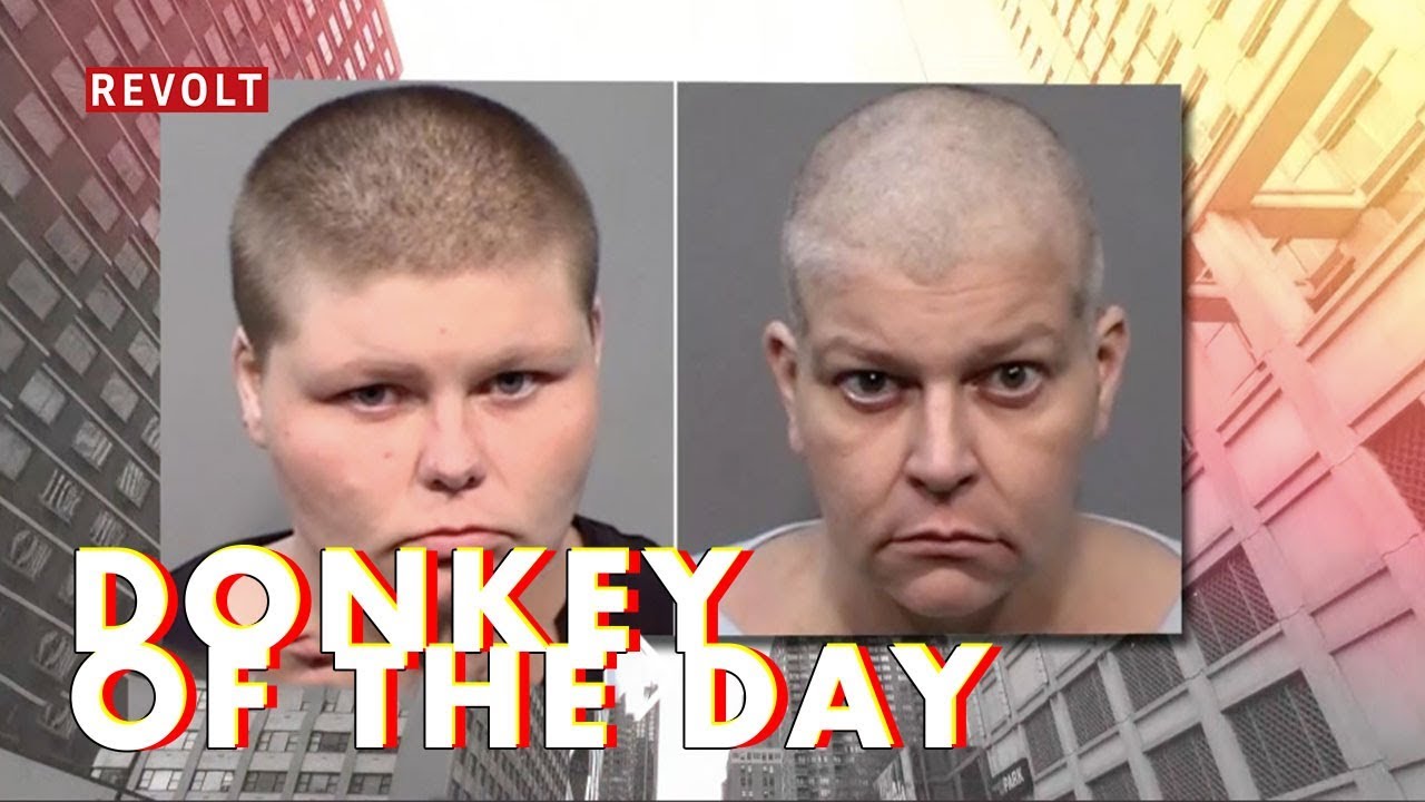 Watch Tara Aven & Briar Aven | Donkey Of The Day on YouTube Watch Tara Aven & Briar Aven | Donkey Of The Day on YouTube