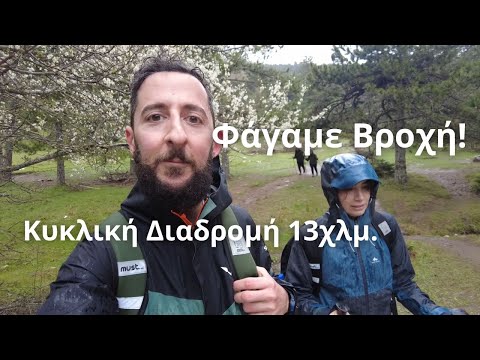 Βίντεο: Δάσος Χίμκι: σκαμπανεβάσματα γύρω από την κατασκευή του νέου αυτοκινητόδρομου Μ-11 Μόσχας-Πετρούπολης