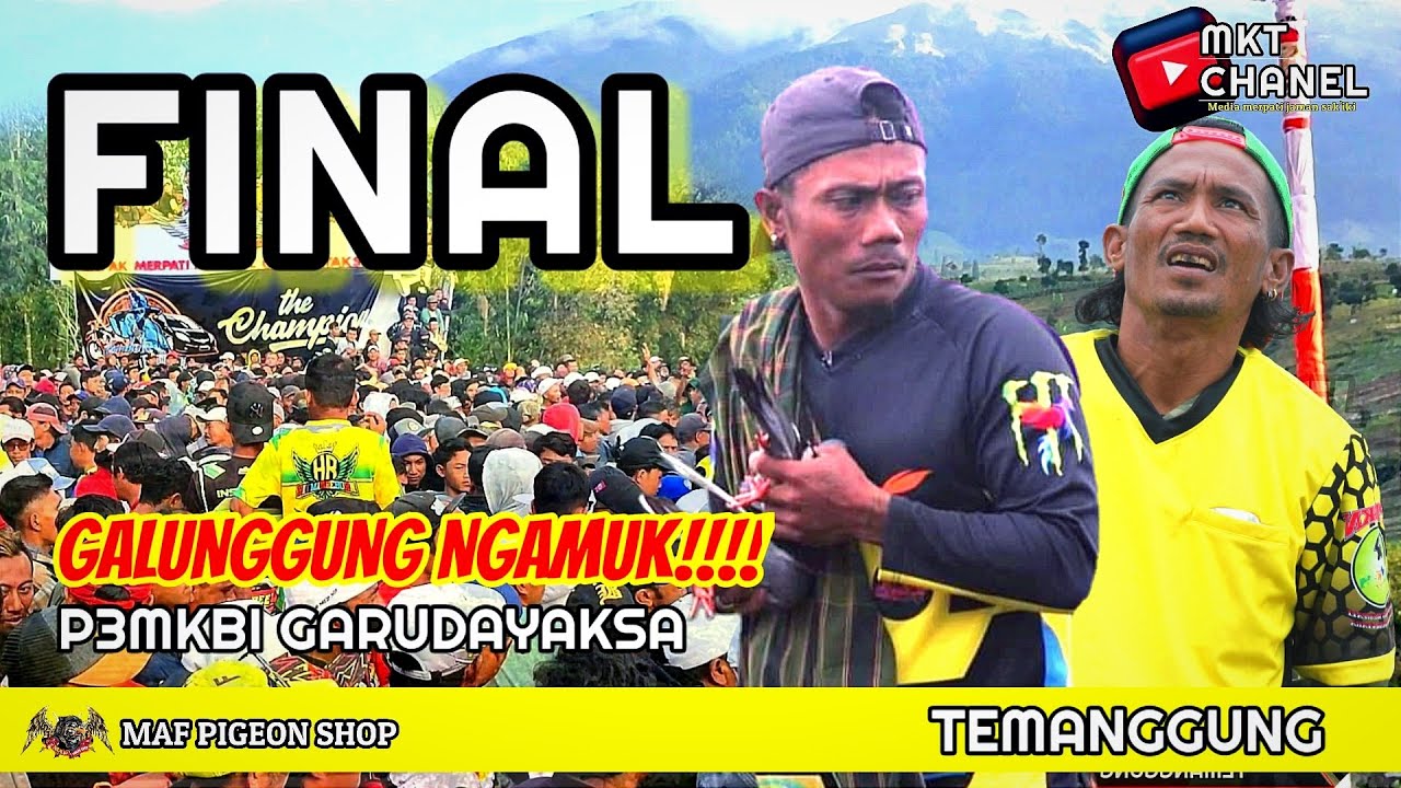 🔴PEMECAH REKOR DUNIA PERTAMA‼️FINAL LAPAK GARUDAYAKSA |P3MKBI JILID 3 | TEMANGGUNG